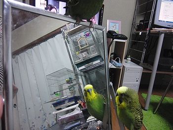 f0196665_013747.jpg
