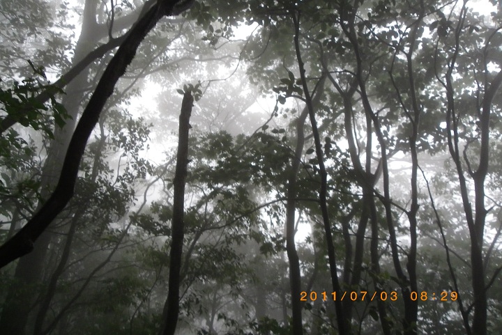 f0016066_16333196.jpg