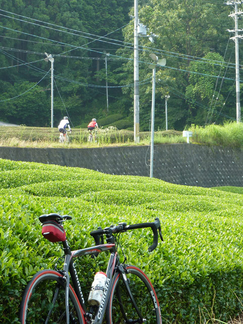 c0107075_13163369.jpg