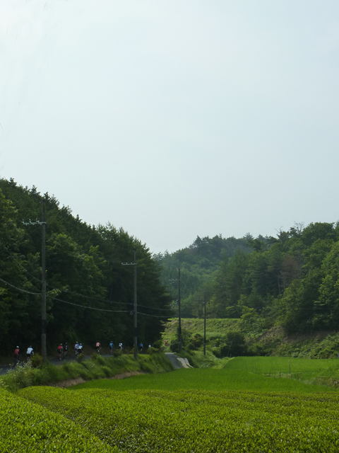 c0107075_13163540.jpg