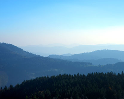 c0139575_2320262.jpg