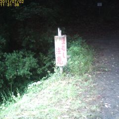 c0019376_10542859.jpg