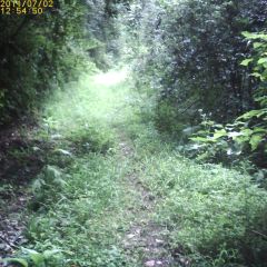 c0019376_10573143.jpg