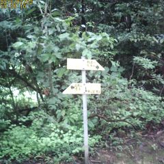 c0019376_11105078.jpg