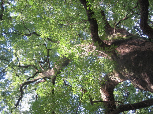 e0215081_16204513.jpg