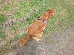 f0005081_1414363.jpg