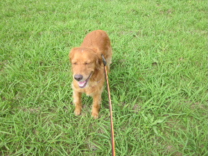 f0005081_1415873.jpg
