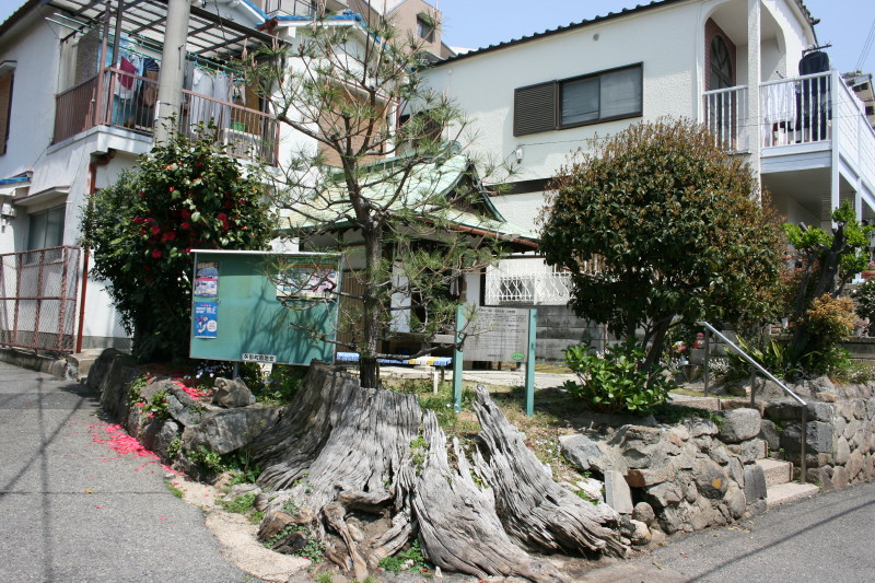 b0118987_17525927.jpg