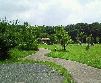 c0014187_085986.jpg
