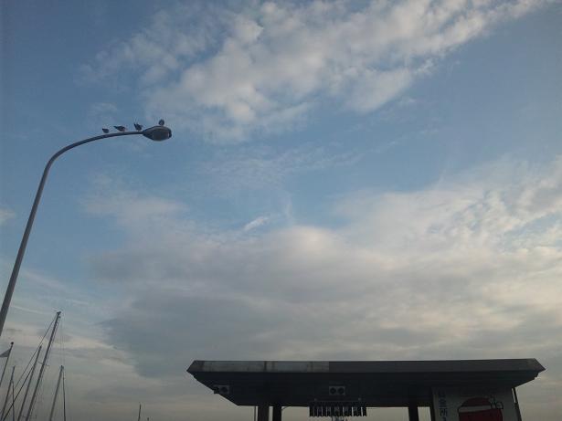 c0046587_2056866.jpg