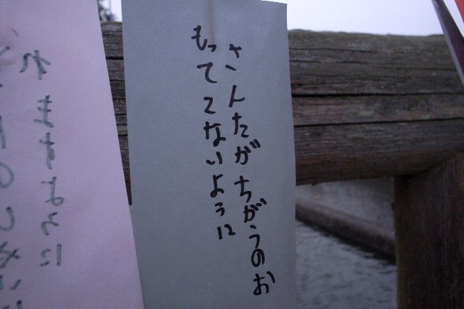b0161189_7292843.jpg