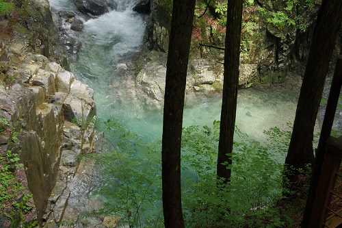 b0119493_19155120.jpg