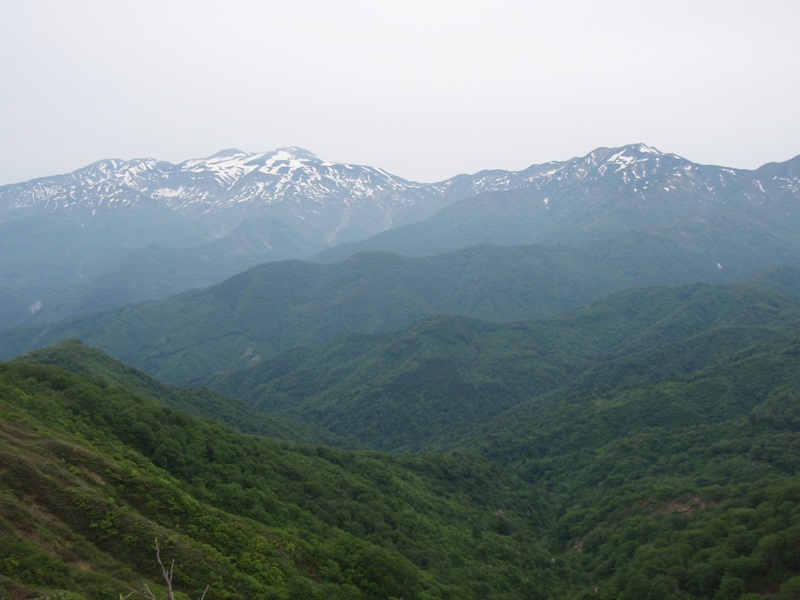 b0039898_17454672.jpg