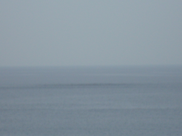 d0235898_1425388.jpg