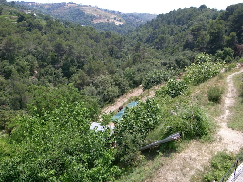 f0108399_2231161.jpg