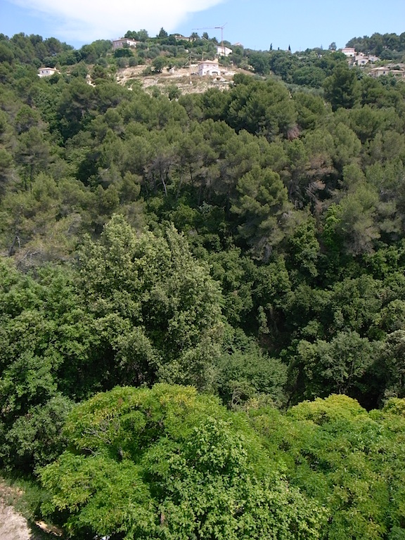 f0108399_23173383.jpg