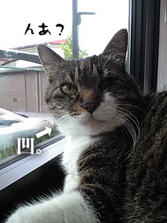 c0035001_14554466.jpg