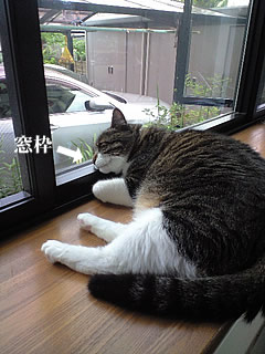 c0035001_14554876.jpg