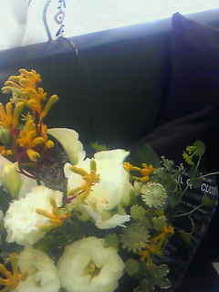 d0165505_10465589.jpg