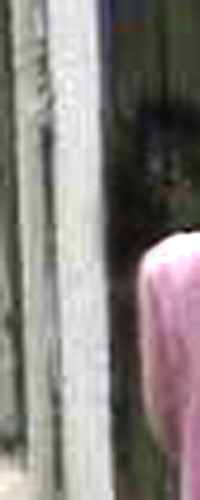 e0103408_17471584.jpg