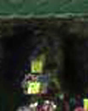 e0103408_17504714.jpg