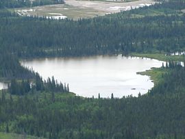 b0051109_1145792.jpg