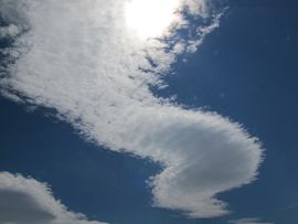 b0051109_1194258.jpg