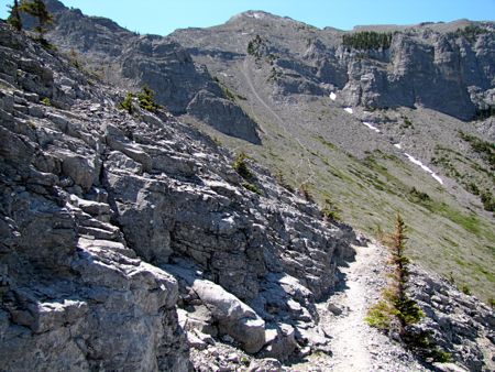 b0051109_1435450.jpg