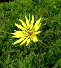 b0051109_172315.jpg