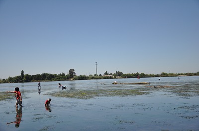 b0171411_14555610.jpg