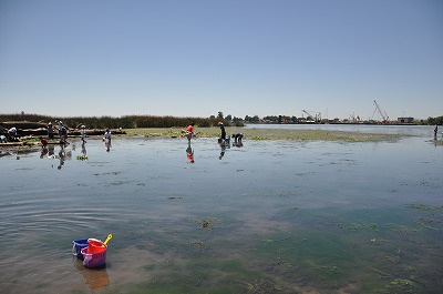 b0171411_1456829.jpg
