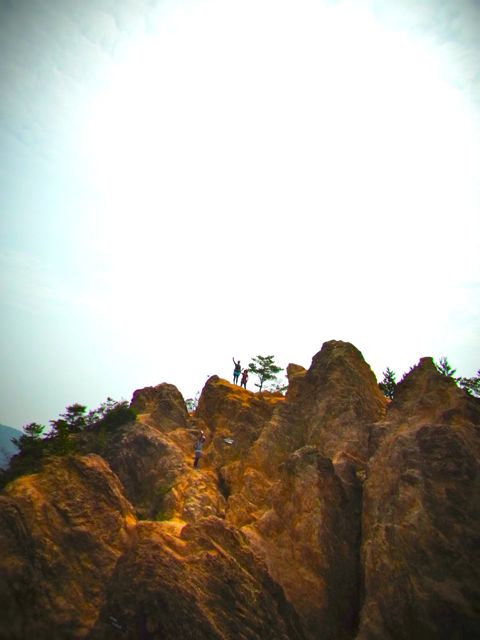 b0183911_235592.jpg