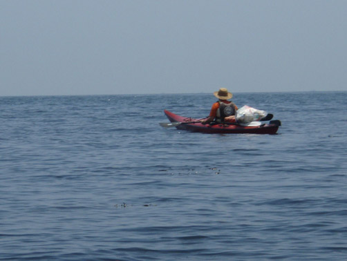 b0117718_1654366.jpg