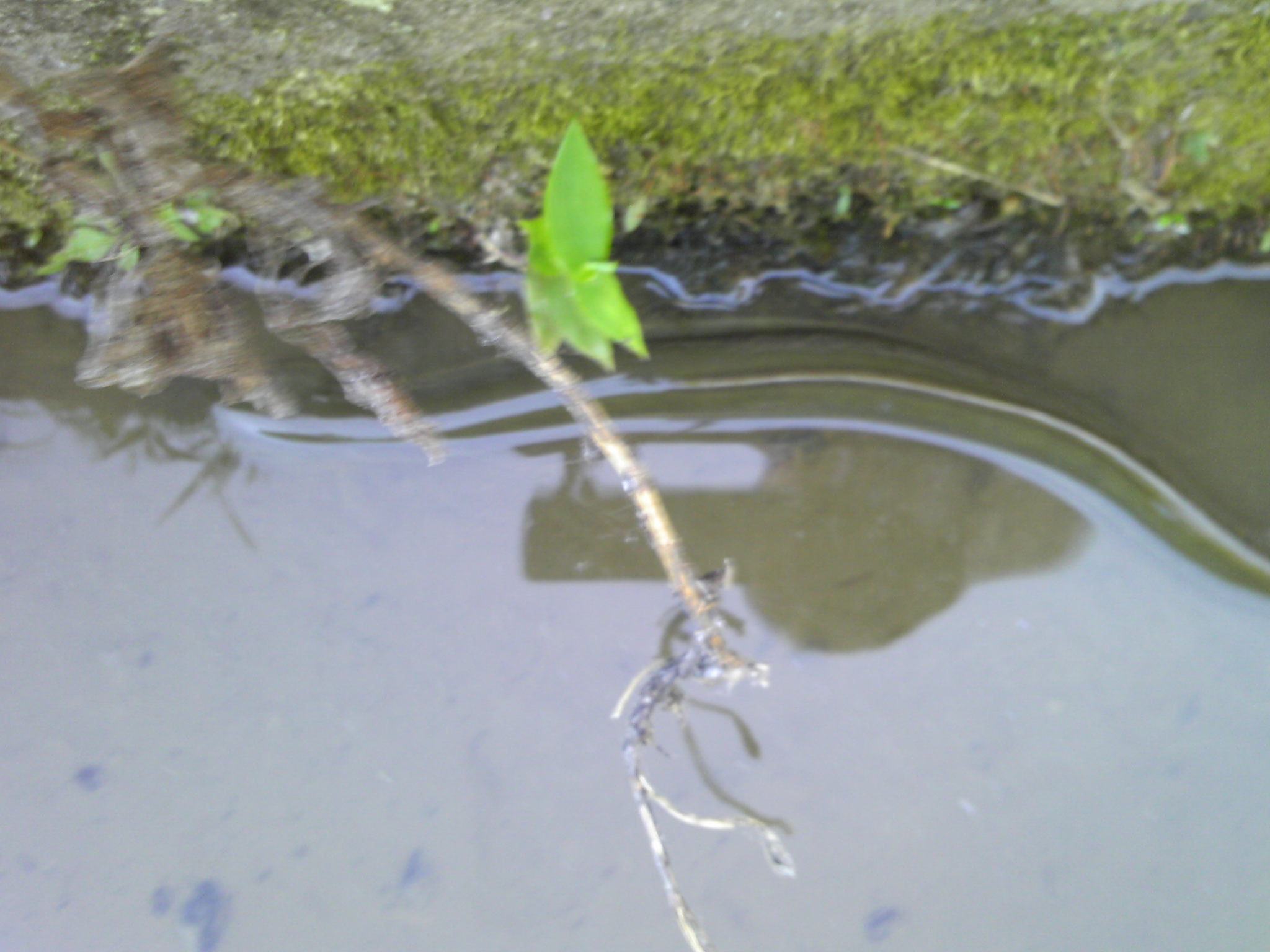 e0126218_22364736.jpg