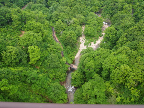 b0147224_22242598.jpg