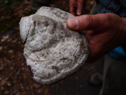 b0147224_22575630.jpg