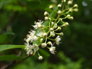 b0147224_22593958.jpg