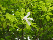 b0147224_2303692.jpg
