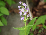b0147224_2325745.jpg