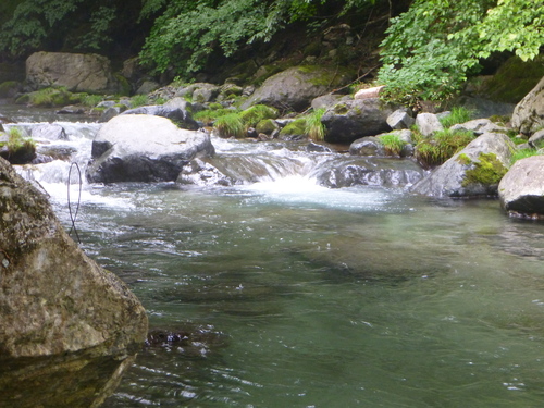 b0195927_21533193.jpg
