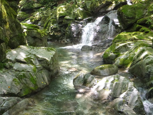 b0195927_22435450.jpg