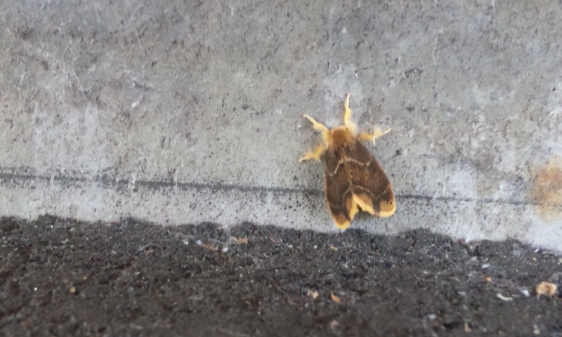 b0019333_025174.jpg