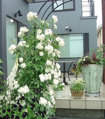f0205733_2301627.jpg