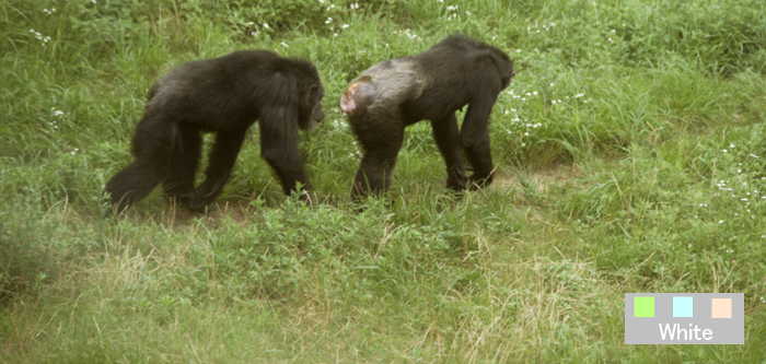 c0227134_22474869.jpg
