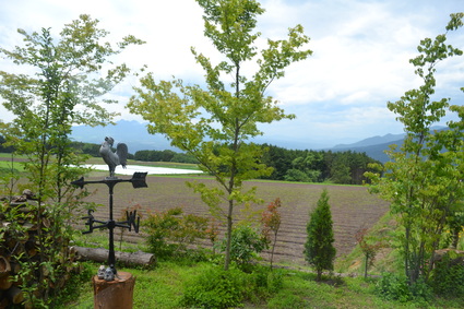 e0228938_1810494.jpg