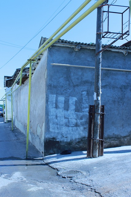 d0195041_251262.jpg