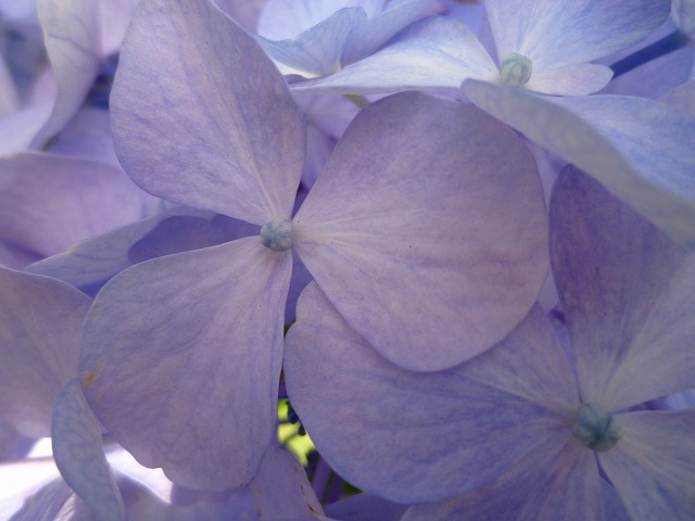 b0162445_0233769.jpg