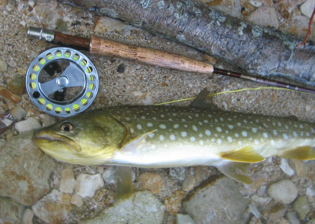 e0202845_1427265.jpg