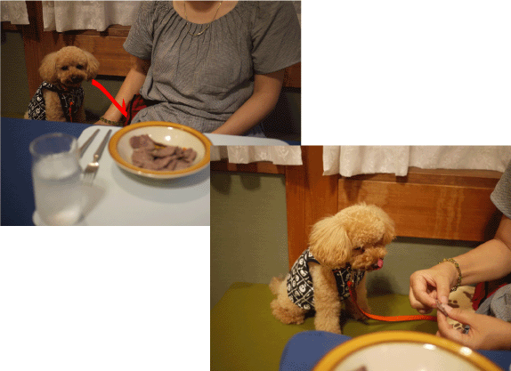 b0182846_22394318.gif