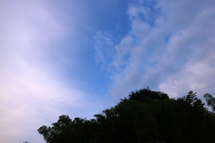 e0009147_20121321.jpg